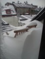 /album/bildgalleri%3a-vinter-p%c3%a5-korngatan/p2220246-jpg/